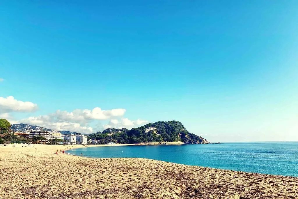 Apartamento Con Piscina Y Parking En Lloret De Mar Appartement